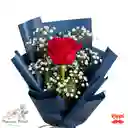 1 Rosa Roja