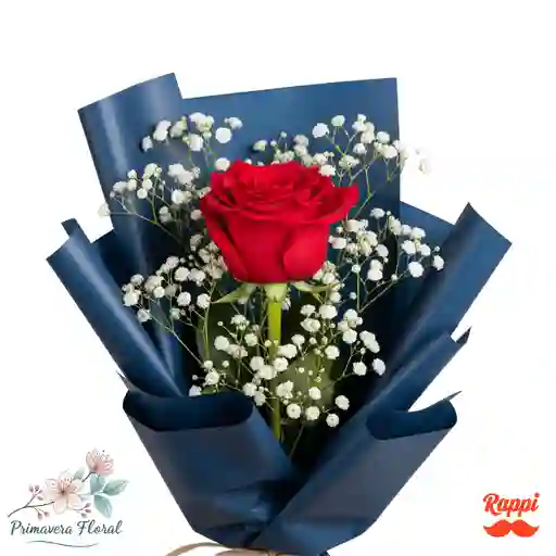 1 Rosa Roja