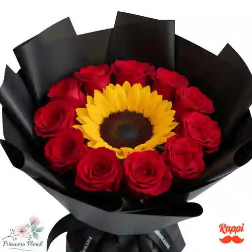 Corazon Radiante