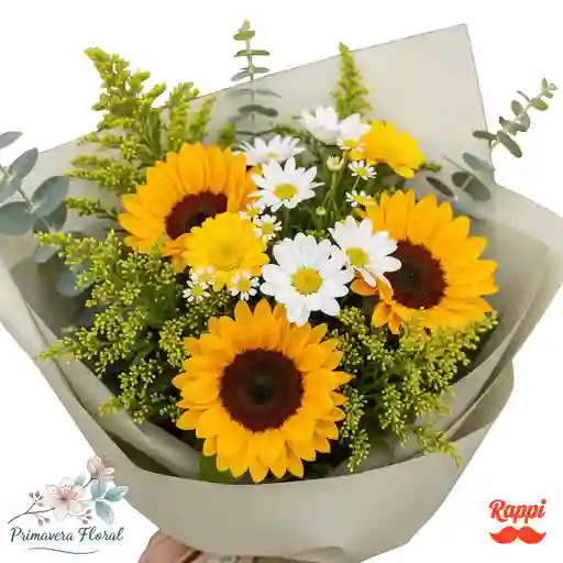 Alegría Girasol Y Margarita