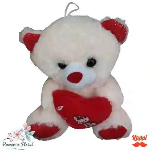Osito De Peluche Amor Brillante