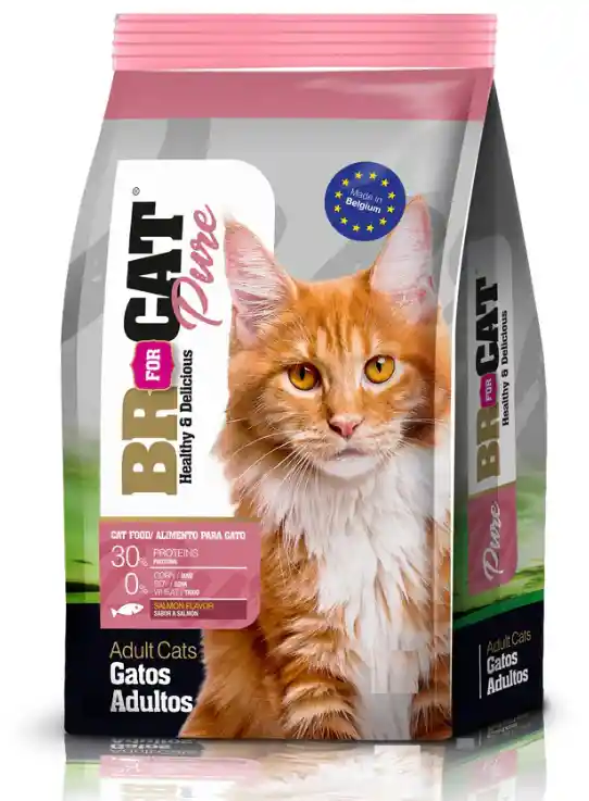 Br For Cat Pure Para Gatos Adultos De 1 Kg Sabor A Salmón