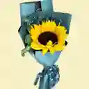 El Girasol Perfecto Para El Mejor Papá