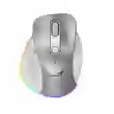 Mouse Inalámbrico Genius Ergo 9000s Pro Plateado