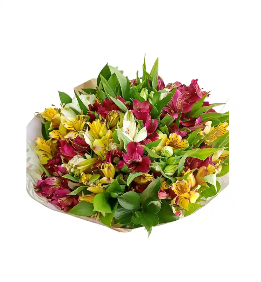 Flores , Astromelia Tipo Bouquet