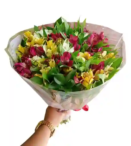 Flores , Astromelia Tipo Bouquet
