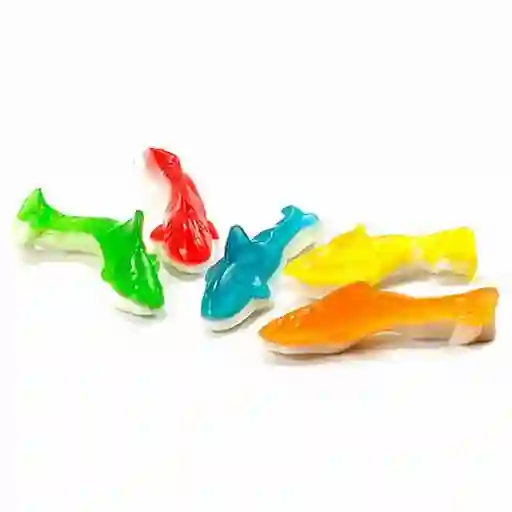 Delfines Colores