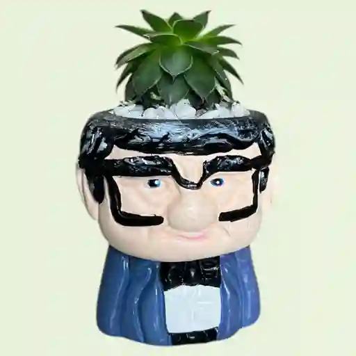 Planta Suculenta Mini Matera Papá