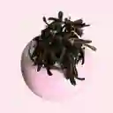 Suculenta Mini Bombonera Rosa