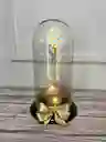 Rosa Tornasolada Con Luz En Urna De Cristal
