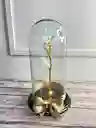 Rosa Tornasolada Con Luz En Urna De Cristal