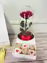 Caja Gaveta Con Rosa Preservada Premium En Urna De Cristal Y Chocolates Rellenos