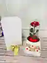 Caja Gaveta Con Rosa Preservada Premium En Urna De Cristal Y Chocolates Rellenos