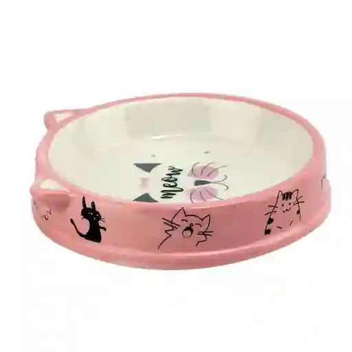 Plato En Ceramica Para Gato