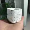 Maceta Cuadrada En Cemento Blanco Y Granito Para Cactus Y Suculentas
