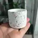 Maceta Circular En Cemento Blanco Y Granito Para Cactus Y Suculentas
