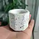 Maceta Octogonal En Cemento Blanco Y Granito Para Cactus Y Suculentas