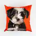 Cojin Expressions Oreo 45x45cm Poliester