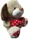 Peluche De Oso Grande Cafe Con Corazon