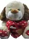 Peluche De Oso Grande Cafe Con Corazon