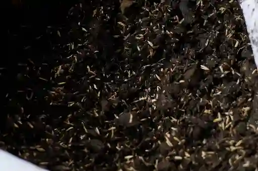 Tierra Negra Abonada Para Todo Tipo De Plantas X4 Kilos