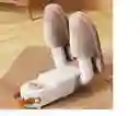 Secador Para Zapatos