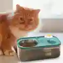 Comedero Doble Con Fuente De Agua Para Mascotas