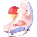 Pelador De Frutas Y Verduras Automático