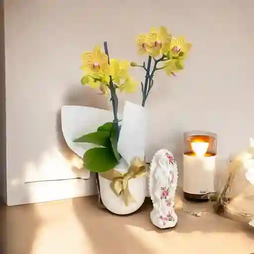 Kit Colibri - Orquideas Medianas Con Virgen 12 Cms