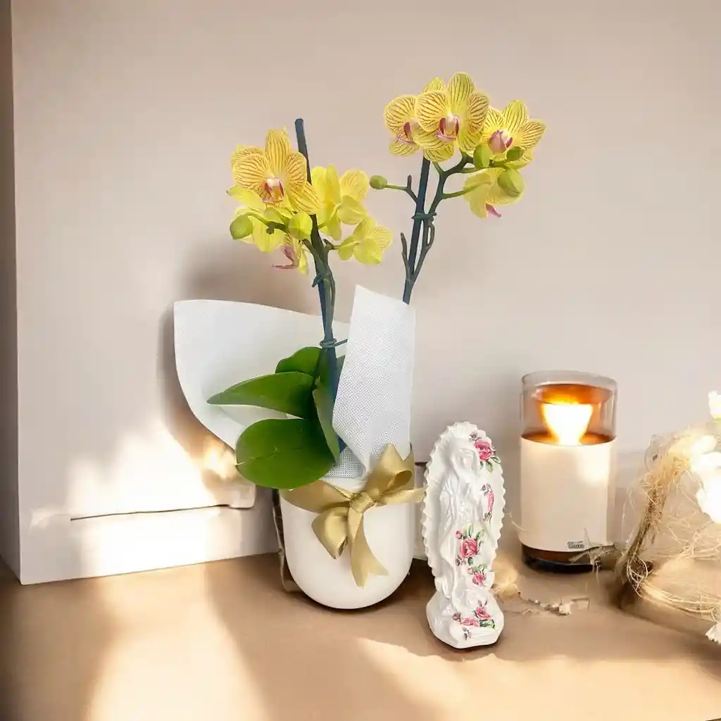 Kit Colibri - Orquideas Medianas Con Virgen 12 Cms