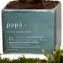 Bonsai En Matera De Papá | Día Del Padre