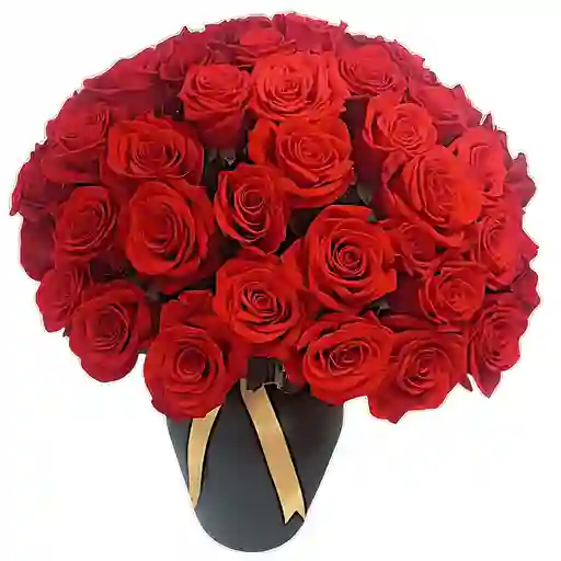 Éxtasis Rojo
