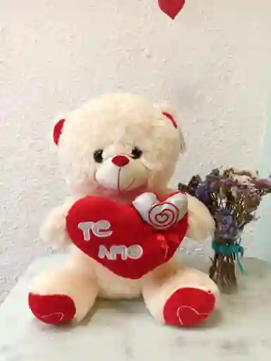 Oso Peluche De Corazón