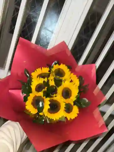 Girasoles