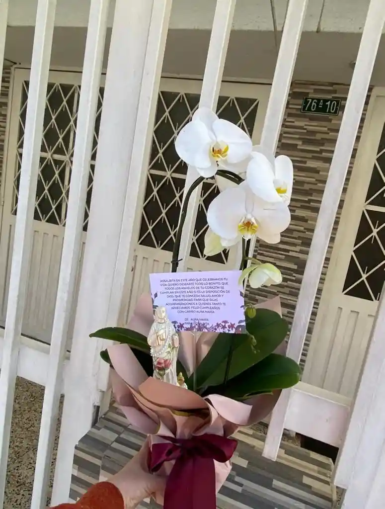 Orquidea Con Virgen