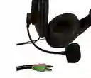 Diadema Omega
