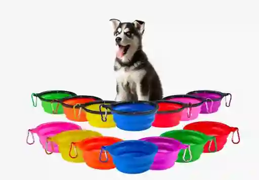 Comedero Y Bebedero Portable Talla S