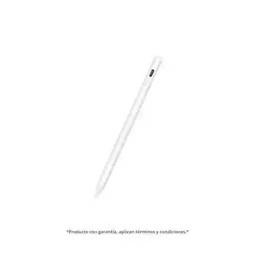 Lápiz Táctil Para Ipad – Rechazo De Palma | Tipo C