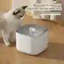 Fuente De Agua Para Mascotas Portátil De 3 Litros Blanco