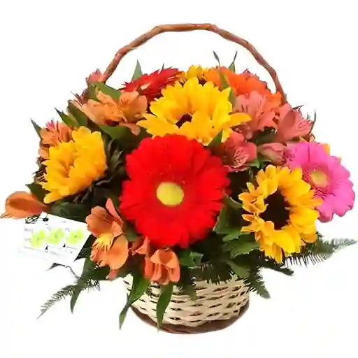 Canasta De Girasoles Y Gerberas - Bogotá