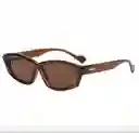 Lentes De Sol Chocolate