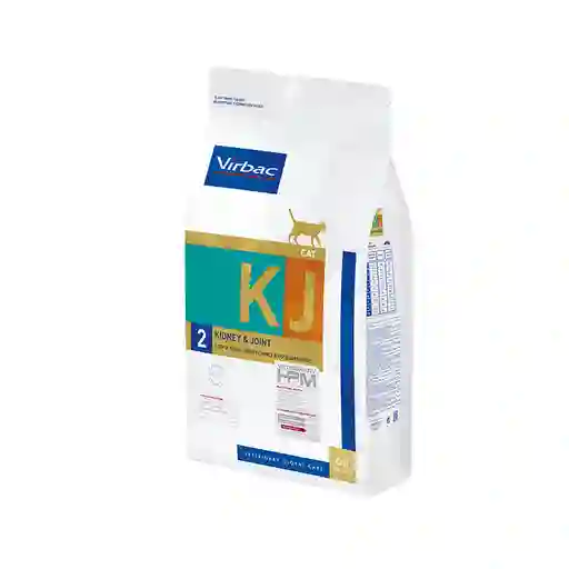 Cat Kidney Joint 3k