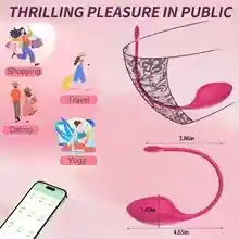 Vibrador A Distancia De Un Pais A Otro