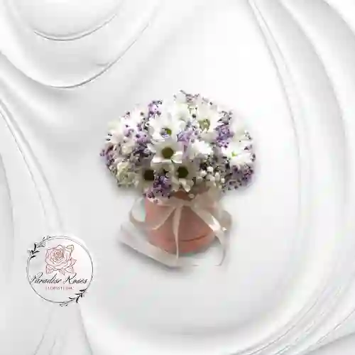 Encanto Floral 💜