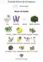 Kaiak Ultra Masculino Natura Para Hombres