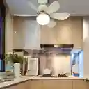 Ventilador Con Lampara