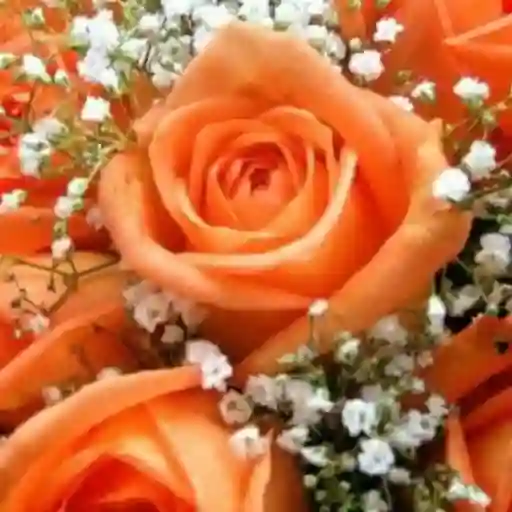 Flores Rosas Naranjas