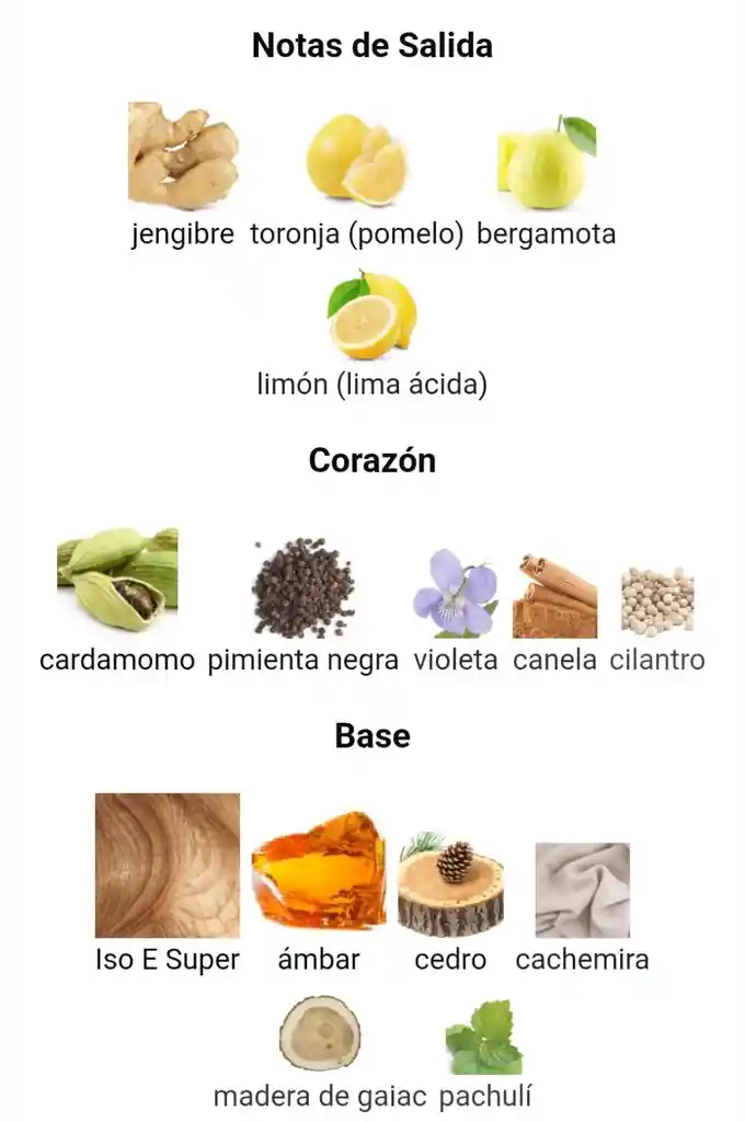 Homem Essence Natura Para Hombres