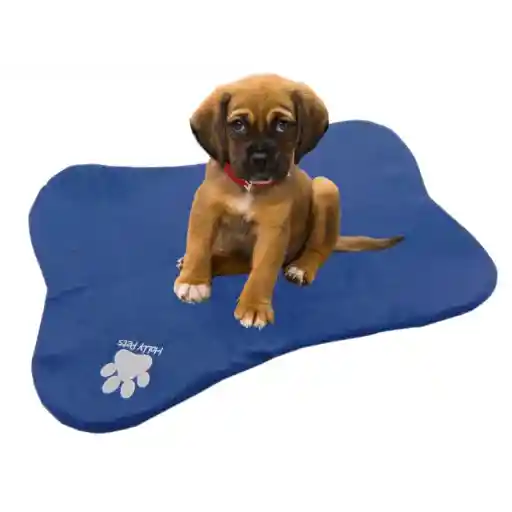 Tapete Con Forma De Hueso Azul Claro