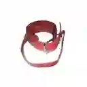 Collar Sumisión